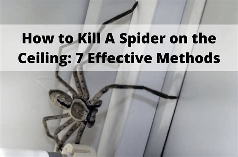 does dropping a spider kill it